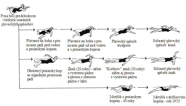 Evolucia Plavania